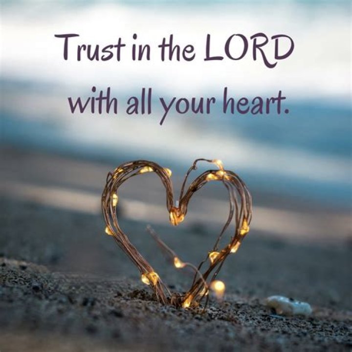 A Journey Of Heart, Trust, And Resilience