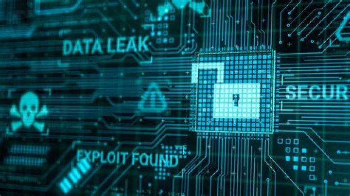 "Christen Whitman Of Leak" And The Data Breach Enigma