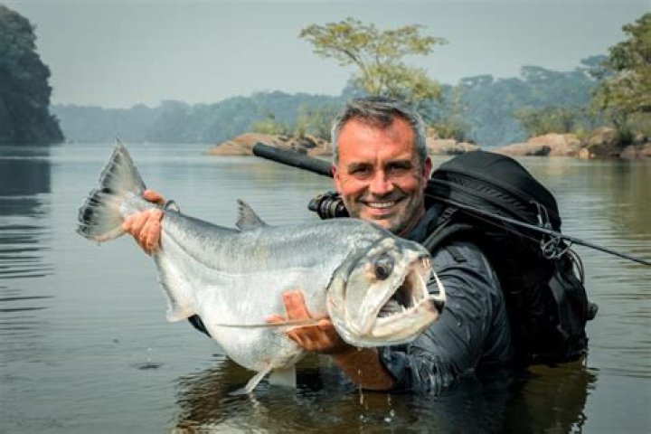 Cyril Chauquet