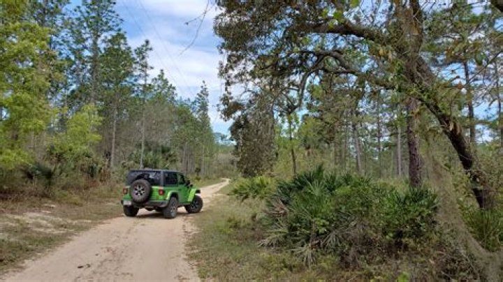 Uncharted Discoveries In South Florida Off-Roading
