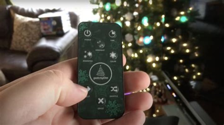 Uncover The "Geek My Tree Net Worth" Enigma