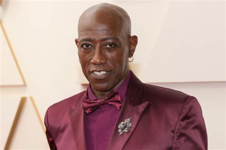 Unraveling The Truths: "Wesley Snipes Abuse" Exposed