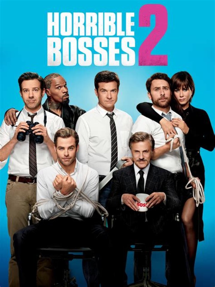Unveiling Brianne Howey's Star-Making Turn In Horrible Bosses 2