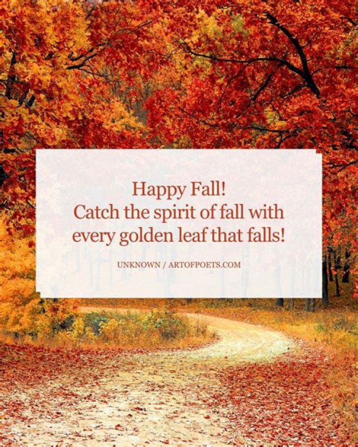 Unveiling The Joyous Appeal Of "Happy Monday Fall Images": Discoveries And Insights