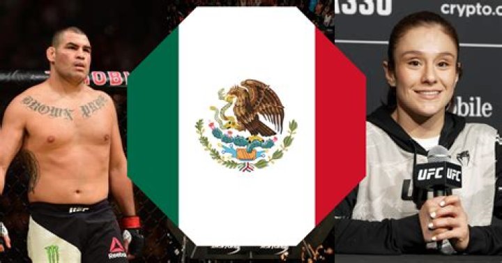 Unveiling The Secrets Of Mexican UFC Fighters: Discoveries And Insights